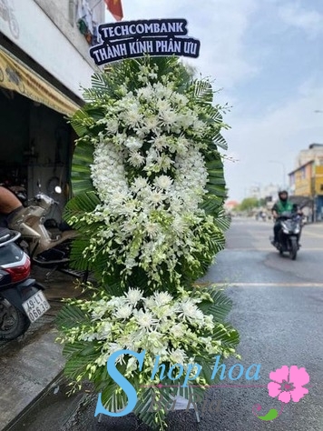 dich vu hoa chia buon tai long hai