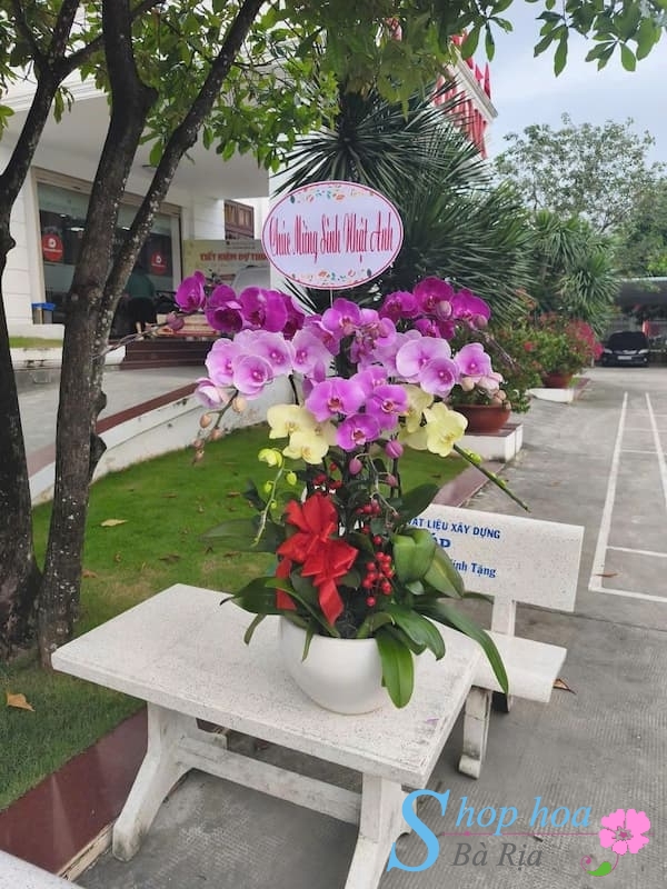 shop hoa lan ho diep xuyen moc
