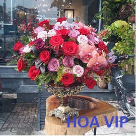 Hoa VIP